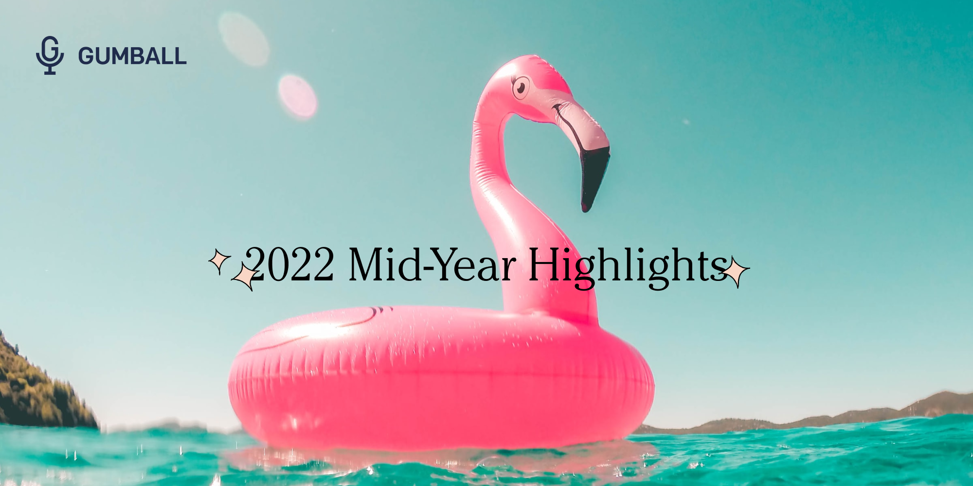 closeup of flamingo floatie sitting on the water with text overlay 2022 mid-year highlights